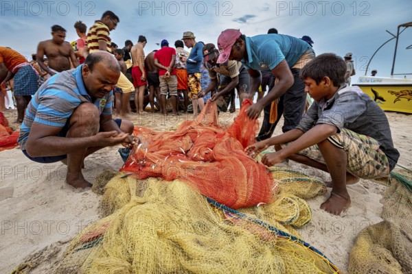 Group of men on beach sorting and inspecting fishing nets, traditional fishermen on Trincomalee beach in Sri Lanka