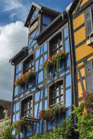 Decorated timber-frame house in the historic old town of Riquewihr, Ellsass