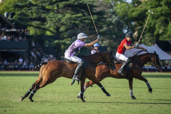 Scene at the 132nd Argentinean Open Polo Championship (Spanish 132nd Abierto Argentino de Polo de Palermo) in the Polo Stadium playing between La Irenita la Hache and La Ensenada in Buenos Aires, Argentina