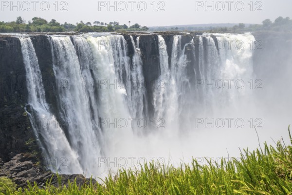 Water plunges into the depths, Victoria Falls with jungle and green plants, Zambezi, Zimbabwe