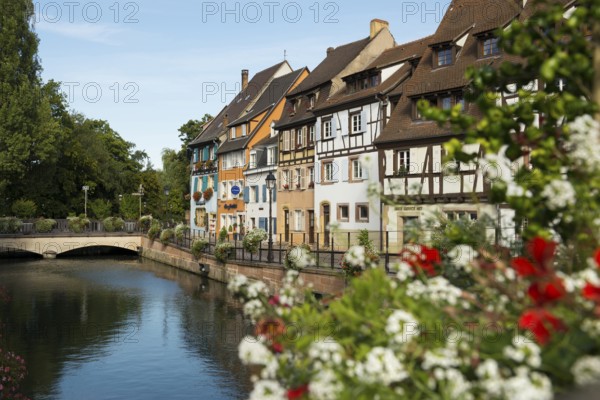 Half-timbered houses on the river, La Petite Venise, Krutenau district, Old Town, Colmar, Alsace, France