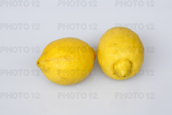 Cutters, lemons, citrus fruits, yellow, studio, food photography, Germany