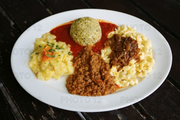 Swabian cuisine, potato salad with flavored onions, spätzle, knöpfle, dumplings with tomato sauce, vegetarian, plate, main course served on plate, grandmother's cuisine, regional, home cooking, typical Swabian, traditional cuisine, food photography, Germany