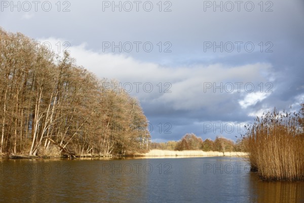 Spring atmosphere with cloudy skies and sunshine over a quiet river, Peenetal nature park Park, Mecklenburg-Western Pomerania, Germany