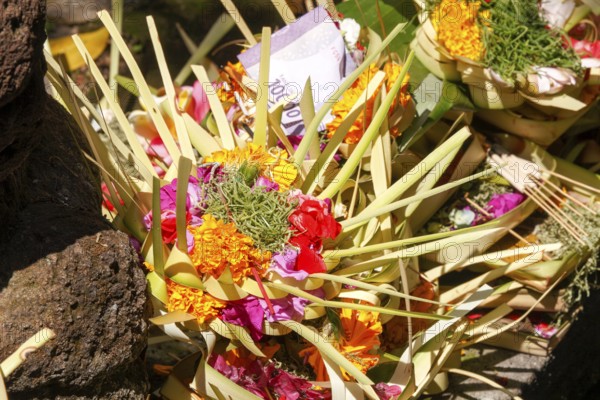 Sacrificial basket (canang) at Tirta Empul hot springs, Bali, Indonesia
