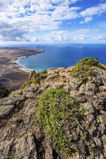 Castillejo viewpoint, view from the Risco de Famara cliffs to the coast and the sea with the Famara beach, Playa de Famara, Lanzarote, Canary Islands, Spain
