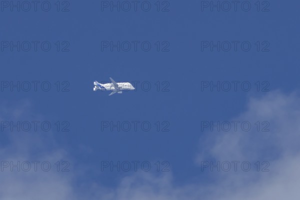 Airbus A330-743L Beluga XL cargo jet aircraft flying in a blue sky with white clouds, England, United Kingdom