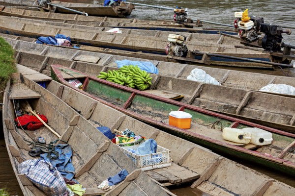 Wooden boats with bananas and motors on the banks of a river, longboat on a river near Rurrenabaque in the Amazon jungle in Bolivia