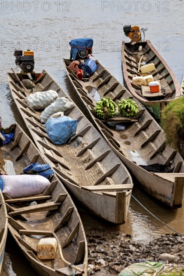 Wooden boats filled with bananas and sacks on the riverbank, longboat on a river near Rurrenabaque in the Amazon jungle in Bolivia