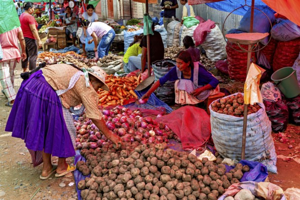 Different types of vegetables are sold in colorful bags at a lively market, The Rurrenabaque market in the Amazon jungle rainforest in Bolivia