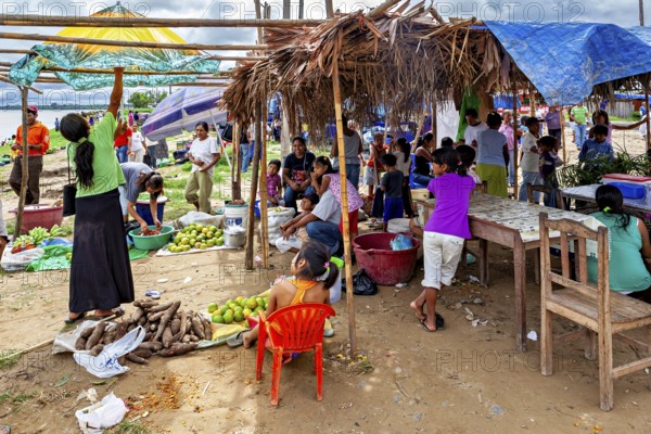 Market scene with people packing fruit and vegetables under makeshift roofs, The Rurrenabaque market in the Amazon jungle rainforest in Bolivia