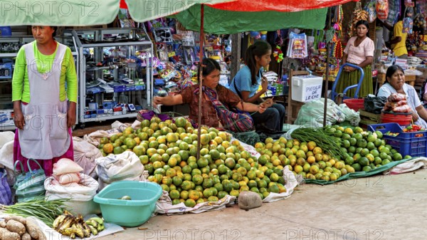 Women sell fruit at a colorful market stall full of fresh goods, The Rurrenabaque market in the Amazon jungle rainforest in Bolivia