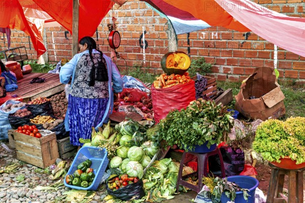 A stand full of vegetables under red tarpaulins at a market, with a brick wall in the background, The Rurrenabaque market in the Amazon jungle rainforest in Bolivia