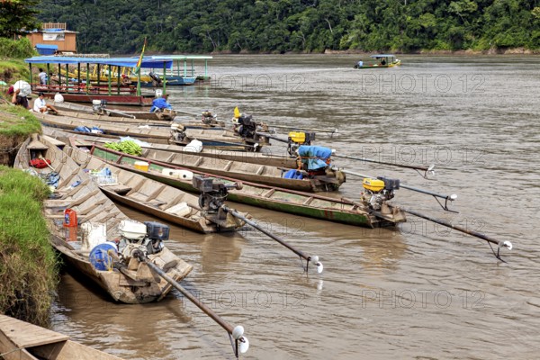 Wooden boats with motors along an overgrown riverbank, longboat on a river near Rurrenabaque in the Amazon jungle in Bolivia