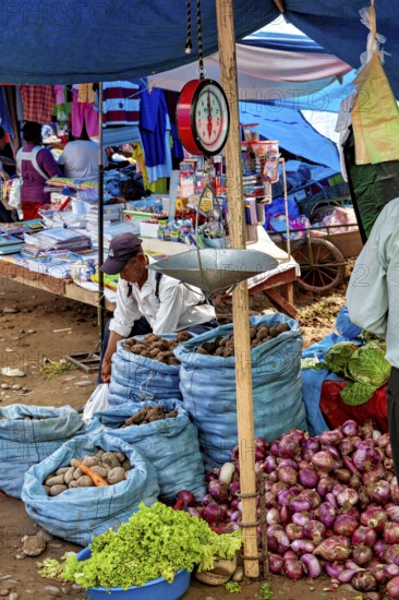 Market scene with vegetable stands, bags full of potatoes and onions. A scale hangs over the stand, The market of Rurrenabaque in the Amazon jungle rainforest in Bolivia
