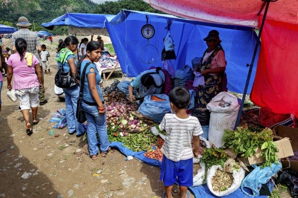 Market scene with people shopping at vegetable stands under colorful tents, The market of Rurrenabaque in the Amazon jungle rainforest in Bolivia