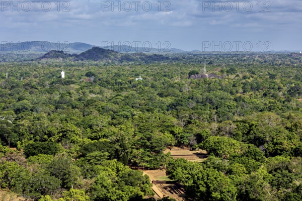 Dense green forests stretch to distant hills under blue skies, the landscape with views from Lion Rock near Sigiriya in Sri Lanka