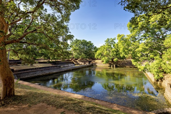 A tranquil pond surrounded by lush trees under a clear blue sky, the temples, dagobas, and pagodas at Lion Rock near Sigiriya in Sri Lanka