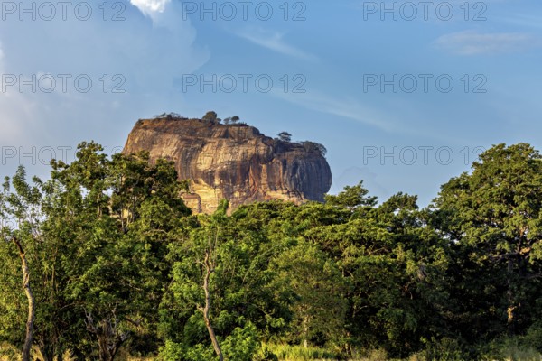Large rock rises from a lush landscape with blue sky, The Lion Rock near Sigiriya in Sri Lanka