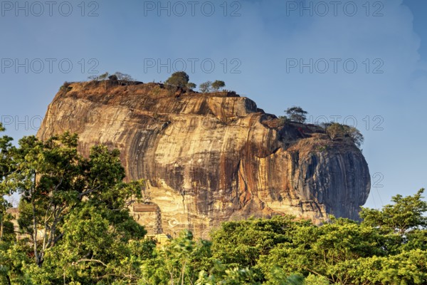 Close-up of an imposing rock with trees at the top under a clear sky, The Lion Rock near Sigiriya in Sri Lanka
