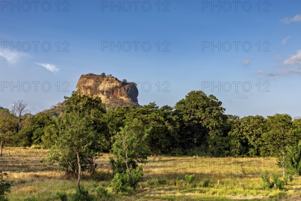 A rural view of a huge rock and lush meadows under clear skies, The Lion Rock near Sigiriya in Sri Lanka