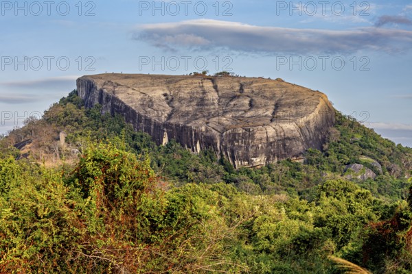 Large rock with green vegetation and cloudy sky in the background, The Pidurangala Rock near Sigiriya in Sri Lanka
