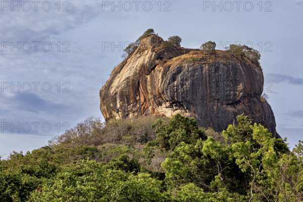 A large rock formation with trees at the top rises above lush greenery under a cloudy sky, The Lion Rock Rock near Sigiriya in Sri Lanka