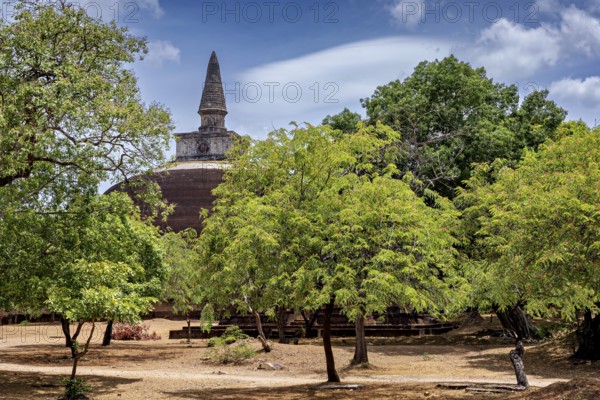 Stupa behind lush green trees on a clear day, The temples of Polonnaruwa in Sri Lanka