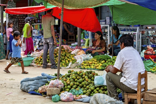 People trade vividly under colorful tents in a market full of fruit, The Rurrenabaque market in Bolivia
