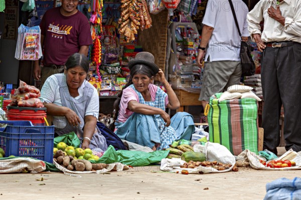 Two woman in traditional dresses and hats sell vegetables at a market, The Rurrenabaque Market in Bolivia