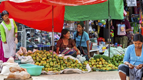 Two laughing woman sit in front of market stalls full of mangoes in a lively atmosphere, The Rurrenabaque market in Bolivia