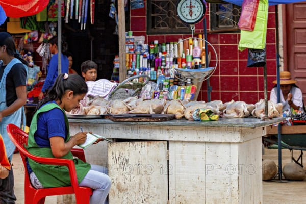 Woman sitting at a market stall with poultry and a scale in the background, The Rurrenabaque market in Bolivia