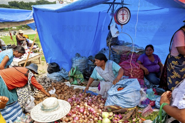 Women sell vegetables such as onions and potatoes under a blue tarp at a market, The Rurrenabaque market in Bolivia