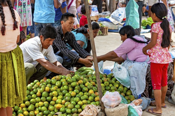 People in a group choosing fruits together at a market, The Rurrenabaque market in Bolivia