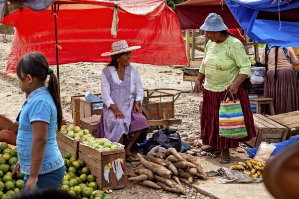 Saleswomen offer local products such as yuca and mangoes under red tarps, The Rurrenabaque market in Bolivia