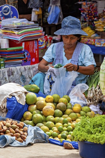 Woman with hat sorting fruits and vegetables on a market table, The Rurrenabaque market in Bolivia