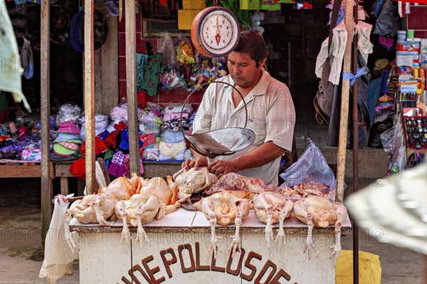 Man weighs poultry at a market stand with an old scale, The Rurrenabaque market in Bolivia