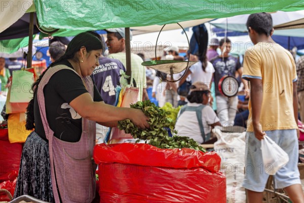 A woman sells fresh vegetables at a busy market with colorful stalls, The Rurrenabaque Market in Bolivia
