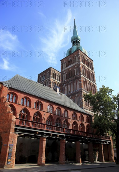 St. Nicholas Church, also St. Nicholas Church, in the urban area of Altstadt, Stralsund, Vorpommern-Rügen district, Mecklenburg-Western Pomerania, Germany