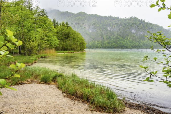 Landscape of Lake Offensee on a rainy day in spring, Salzkammergut, Austria