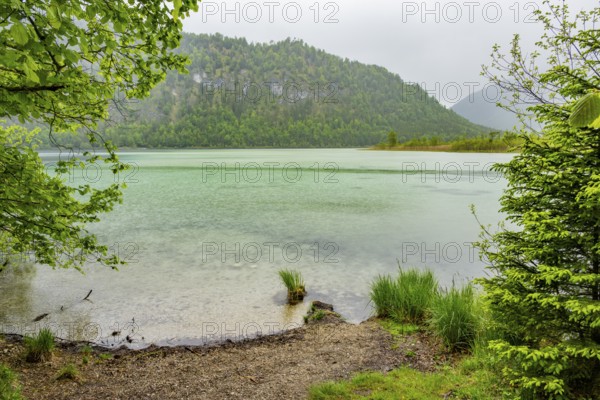 Landscape of Lake Offensee on a rainy day in spring, Salzkammergut, Austria