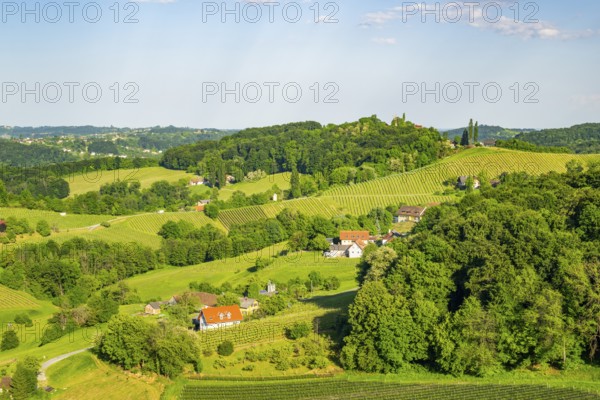 Landscape of the wine yards growing on the hills of southern styria, Austria