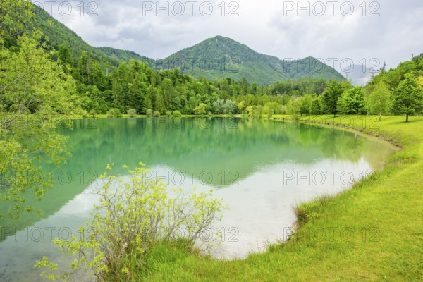 Landscape of Lake Elisabethsee on a rainy day in spring, Austria