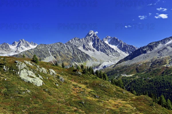 From left front Glacier du Tour back Aiguilles du Tour, right Aiguille du Chardonnet, in front foothills of the Argentière Glacier, Chamonix-Mont-Blanc, Haute-Savoie, France