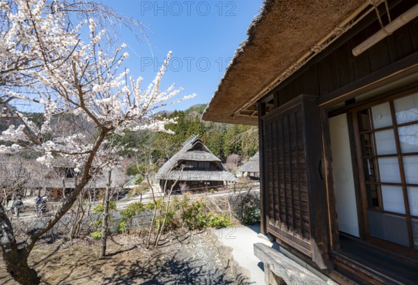 Iyashinosato open-air museum, old Japanese village with traditional houses, Fujikawaguchiko, Saiko, Japan