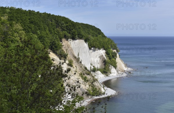 Chalk cliffs, chalk coast on the island of Rügen, Jasmund National Park, Mecklenburg-Western Pomerania, Germany