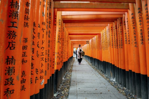 Visitors on a journey through hundreds of red traditional torii gates, Fushimi Inari-taisha, Shinto shrine, long exposure, motion blur, Fushimi Inari-taisha Okusha Hohaisho, Kyoto, Japan