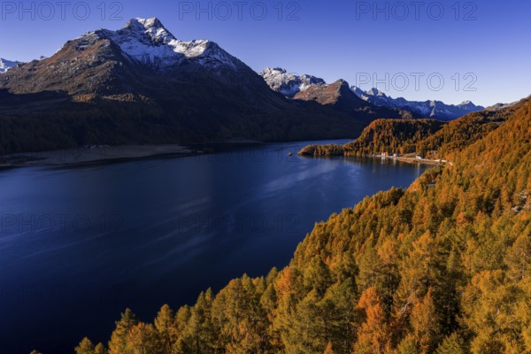 Mountain landscape, mountain lake, larch forest, autumn, autumn color, morning light, sunny, aerial view, Lake Sils, Engadin, Switzerland
