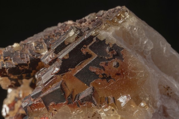 Transparent crystals sit on rocks and reveal their unique shimmer and geological structure. The light underlines the natural beauty of minerals. Bas Rhin, Alsace, France