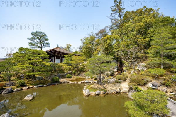 Japanese Garden with Pond, North Garden, Kitaniwa or Hokutei Garden, Ninna-ji Goths, Buddhist Temple Complex, Kyoto, Japan